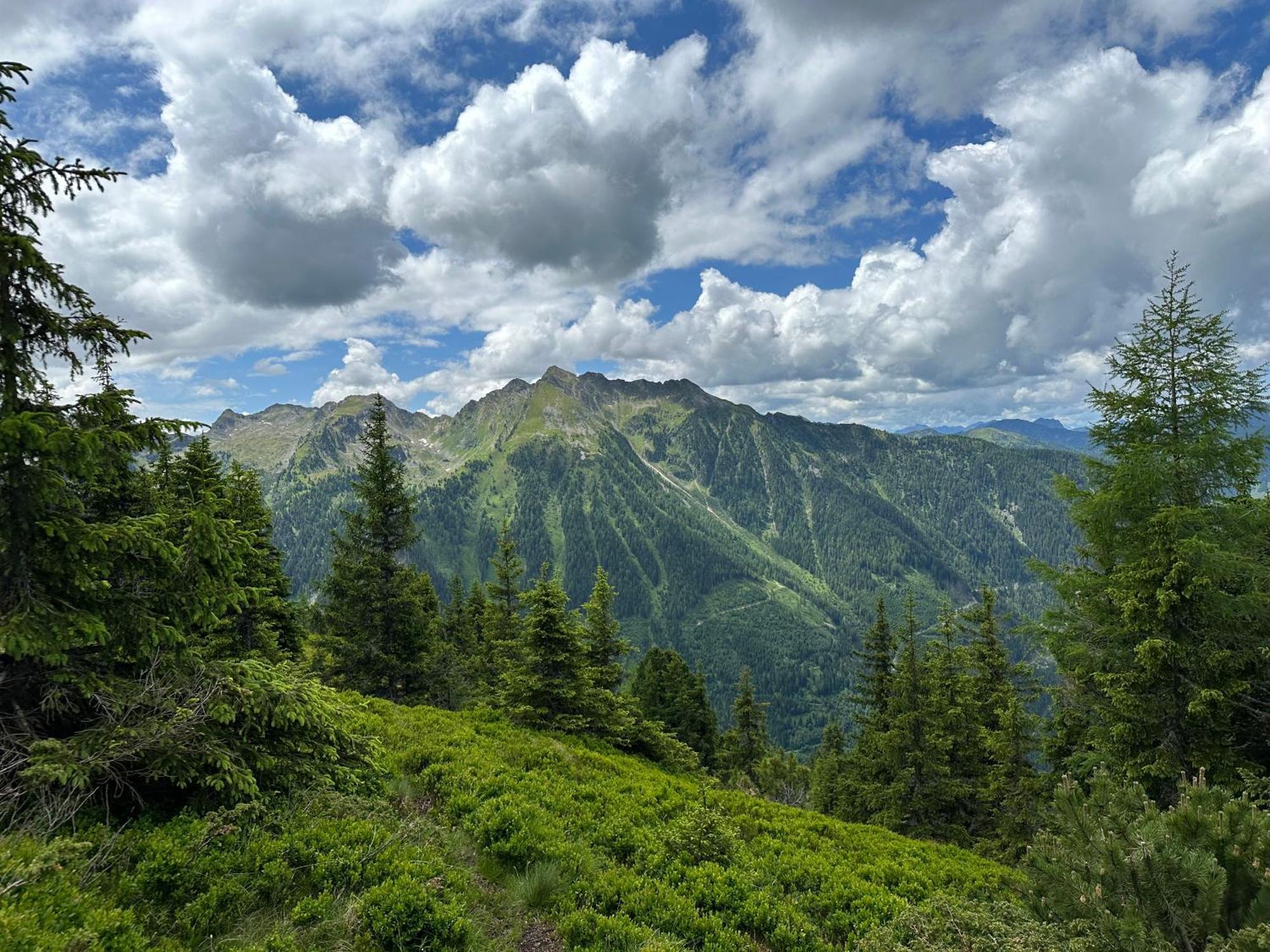By Reiteralm - In Out Apartamento Schladming